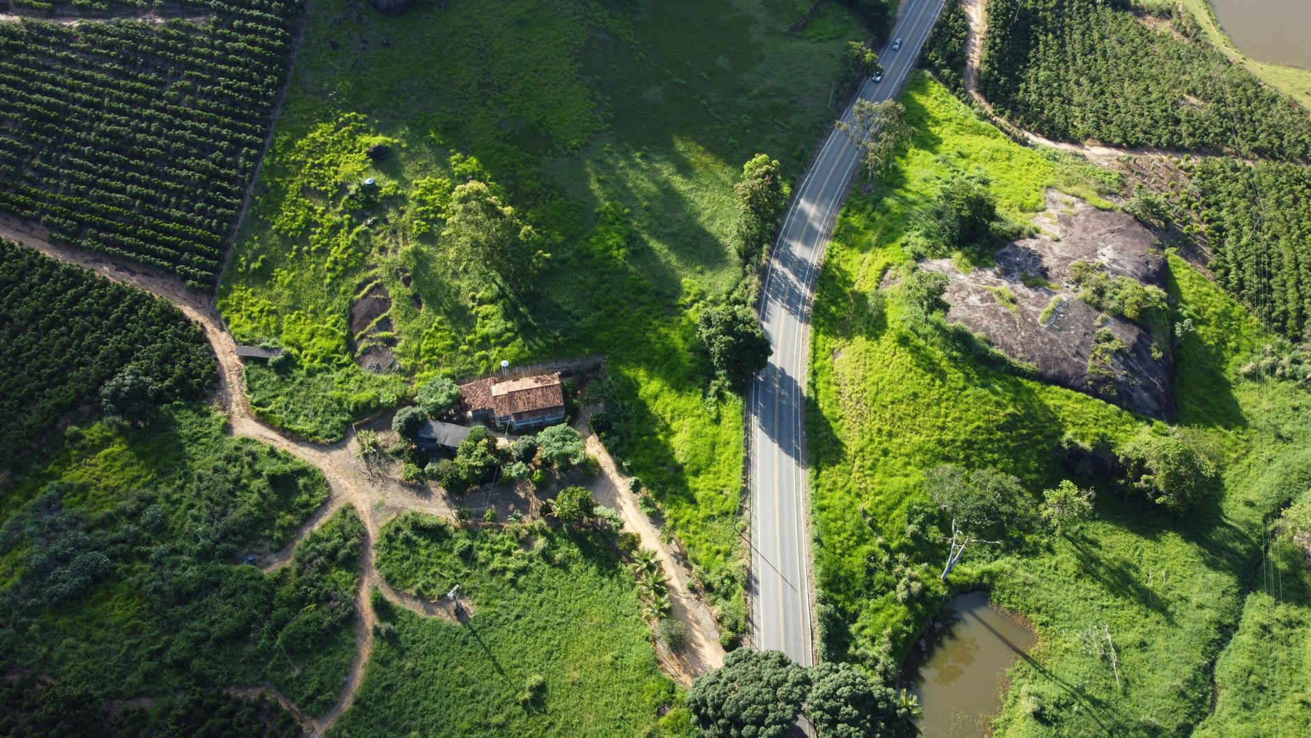 Imagem ilustrativa: Vista aérea cênica de terras agrícolas, estrada e vegetação em Águia Branca, Brasil.