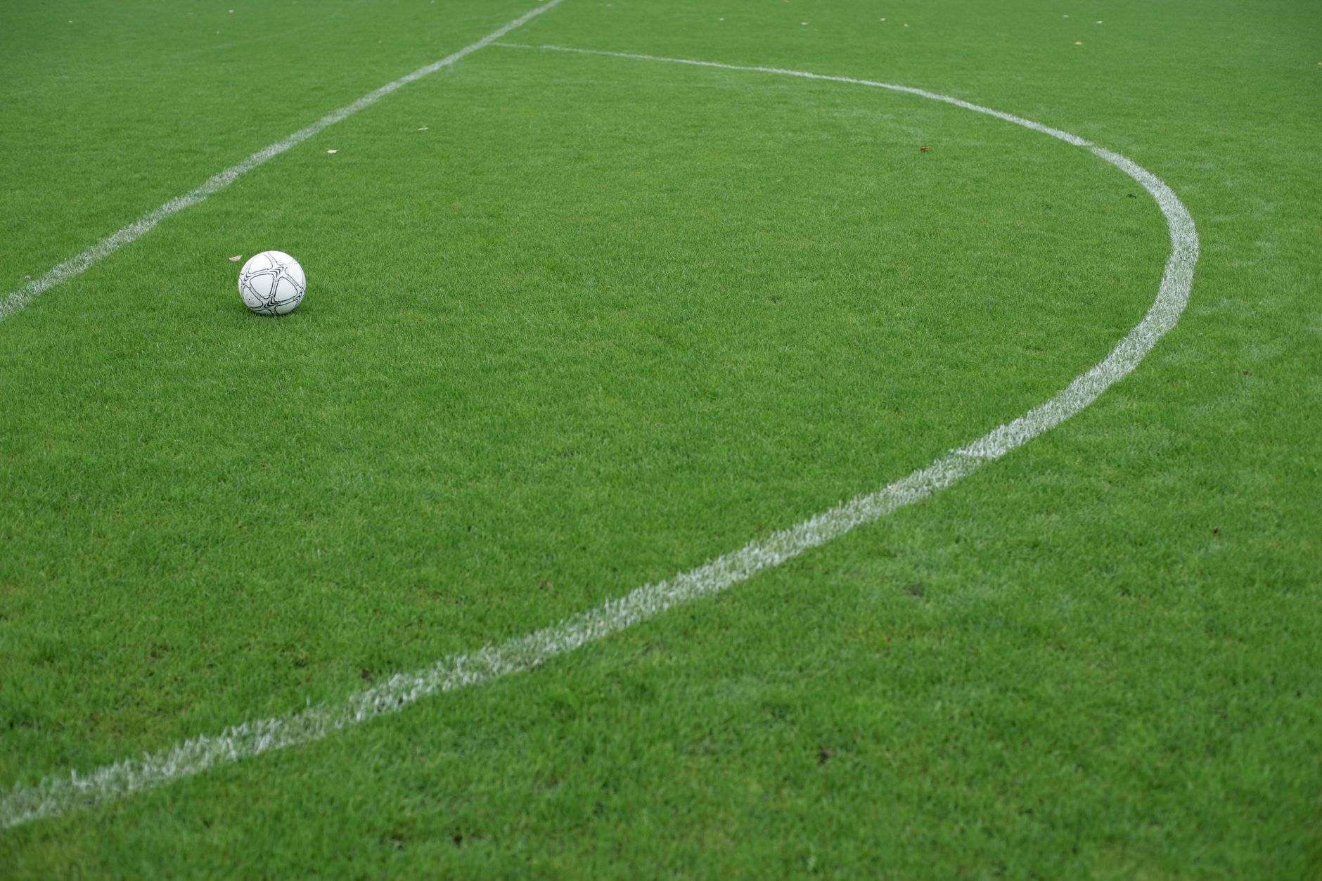 Imagem ilustrativa: Bola de futebol descansando em um campo verde vibrante com linhas brancas de demarcação.