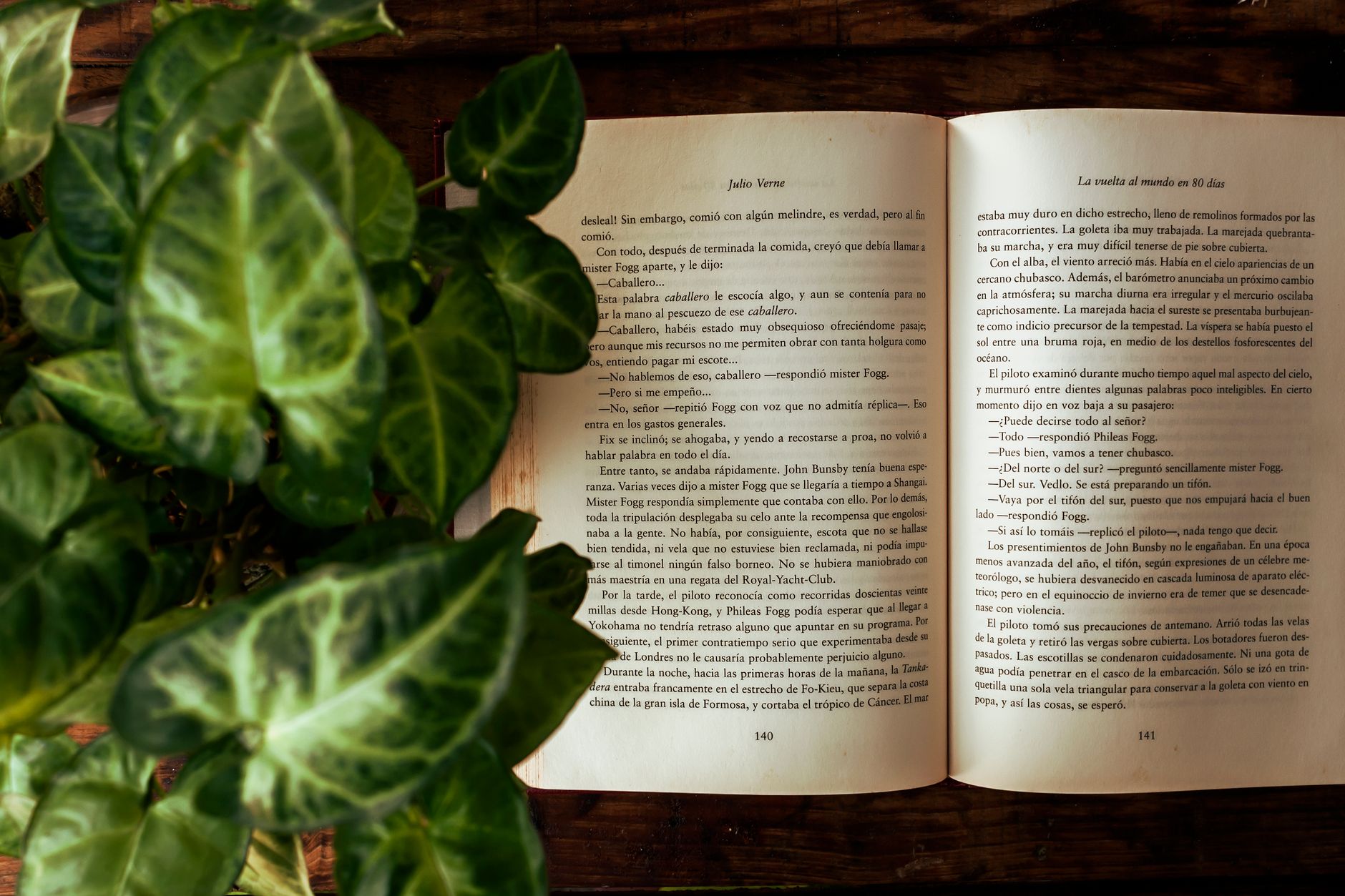 Imagem ilustrativa: Livro aberto com planta em vaso verde sobre uma mesa de madeira, criando uma atmosfera calma para leitura.