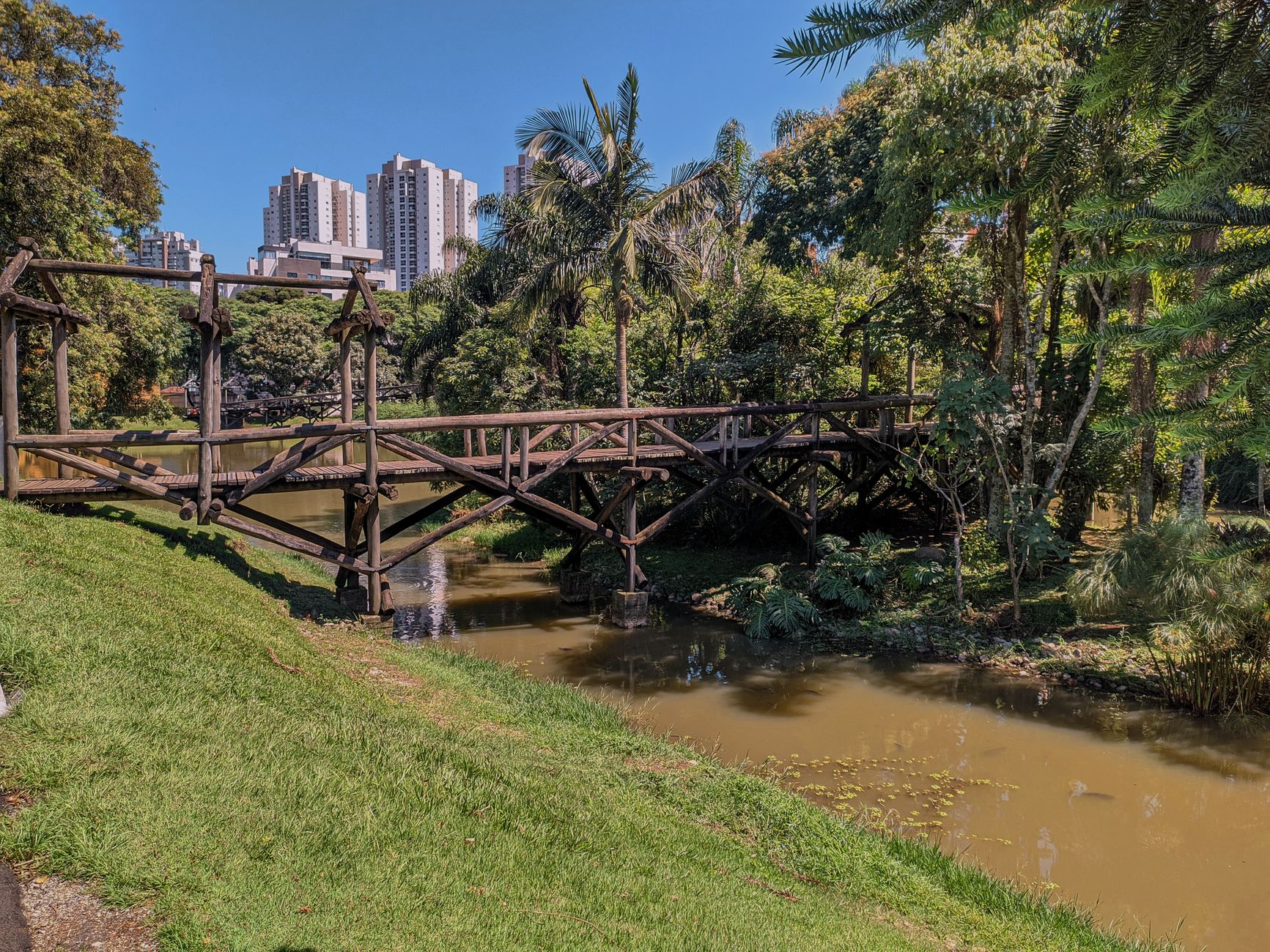 Imagem ilustrativa: Ponte de madeira sobre um rio urbano em parque de Curitiba, com prédios ao fundo.