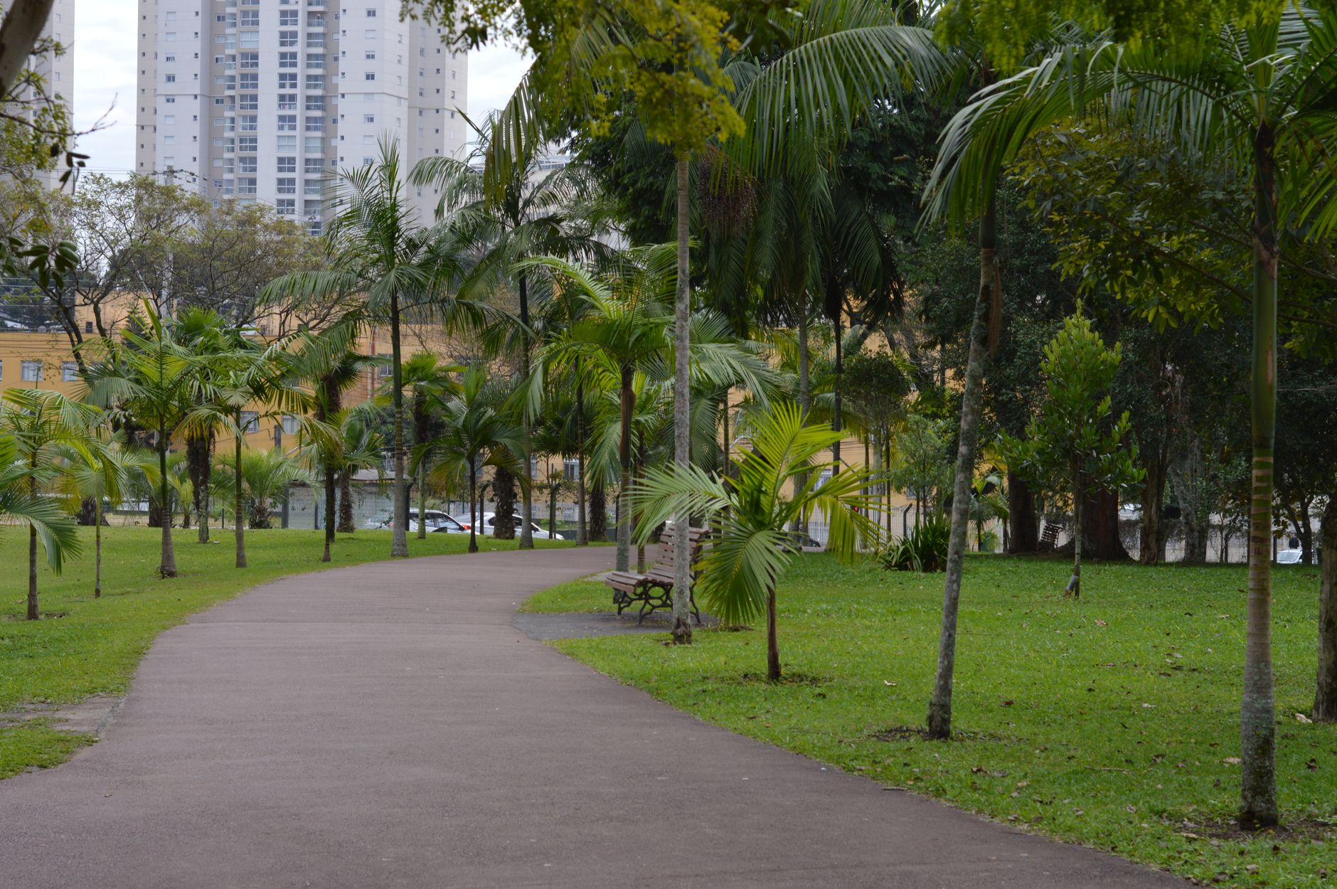 Imagem ilustrativa: Caminho asfaltado e vazio em parque arborizado de Curitiba.