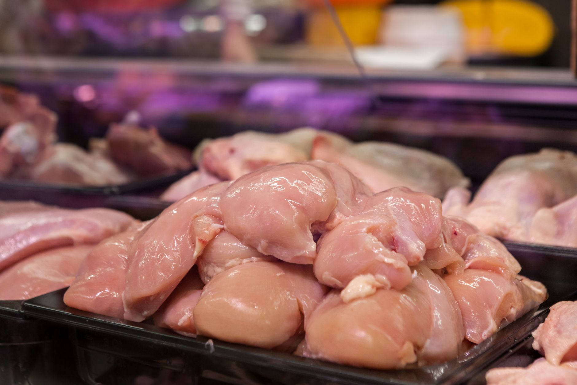 Imagem ilustrativa: Peitos de frango cru frescos expostos em um ambiente de supermercado, prontos para compra.