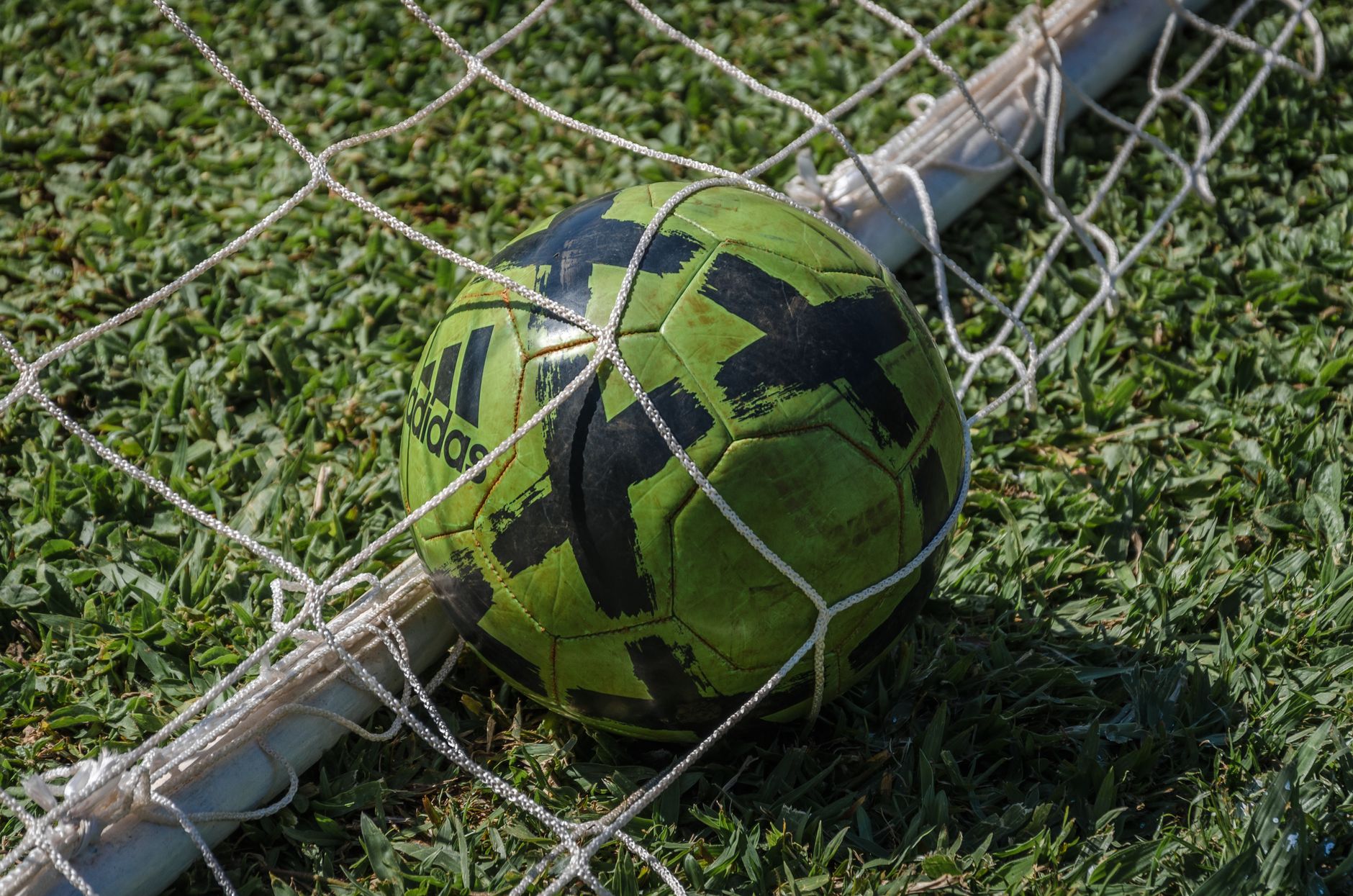 Imagem ilustrativa: Bright green soccer ball stuck in a net on a grassy field in sunlight.