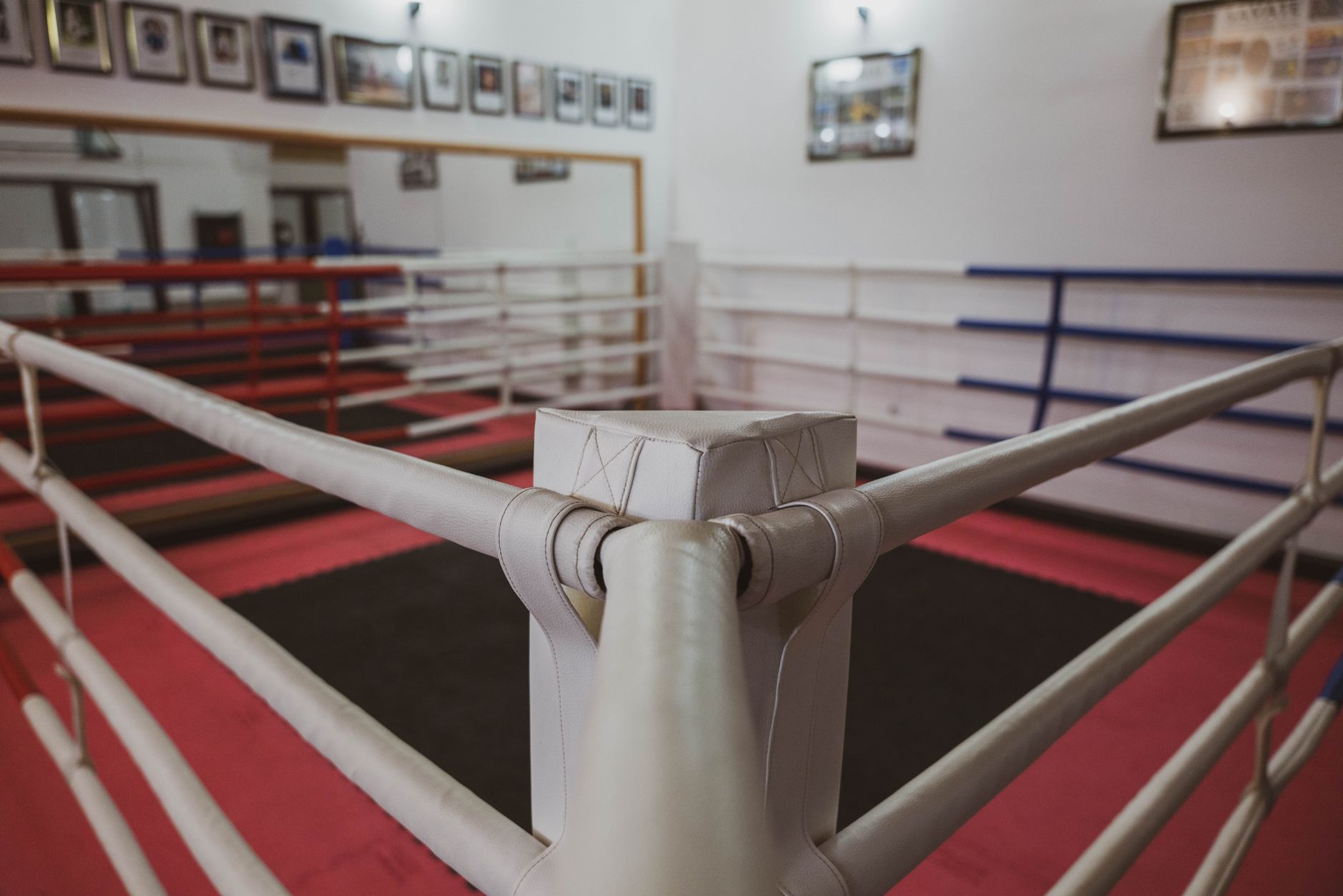 Imagem ilustrativa: Um ringue de boxe vazio dentro de uma academia com cordas vermelhas e azuis nos cantos e piso rosa.